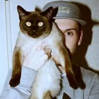 头像男猫头像男猫咪图片潮流