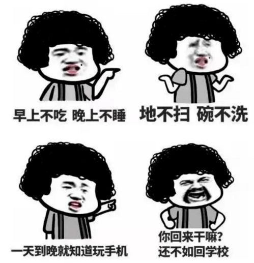 全体职技青年,这份寒假指南,让你开学惊艳所有人