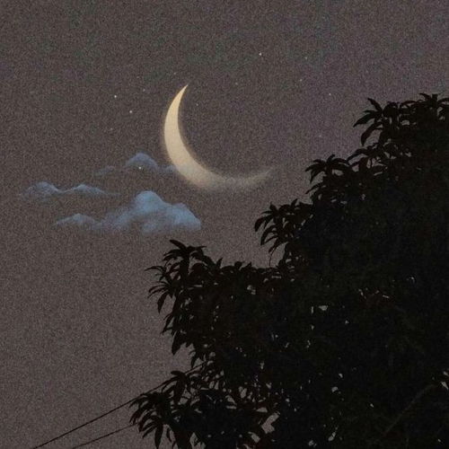 背景图等本宫瘦下来尔等都是渣