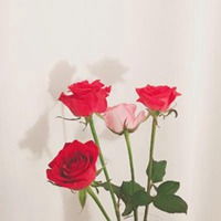 70后妈妈微信头像娇艳