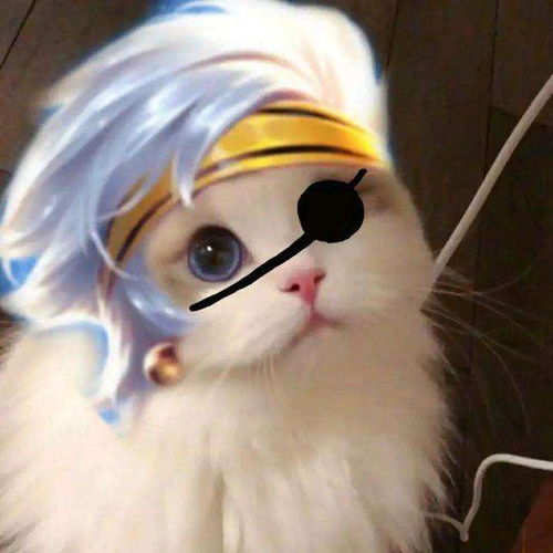 王者荣耀猫猫头像图