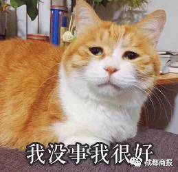 听说00后又用回qq了微信太老气,适合中年人,扎心了