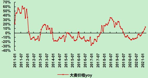 中富金石高端化提速,啤酒龙头受益
