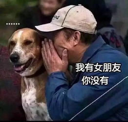 当电灯泡是一种怎样的体验