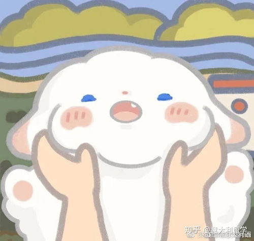 高考延期意大利留学会受影响吗今年应届毕业生真的太难了