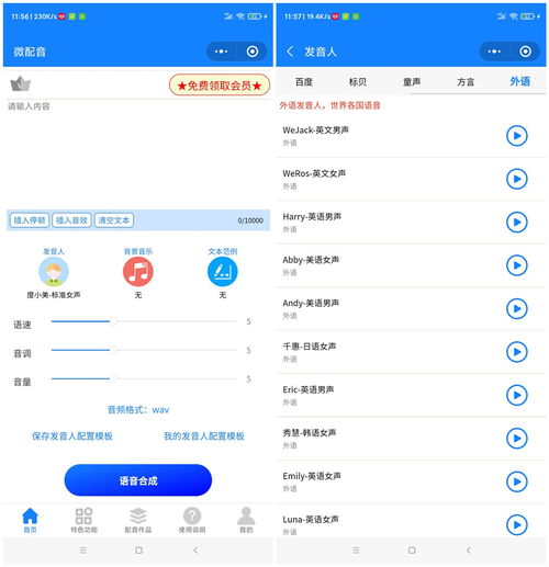遇到文字转语音无需烦恼,一款工具就能将文字合成语音微配音