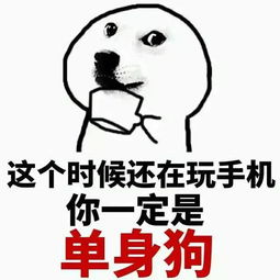 让妲己来陪你玩吧,主人