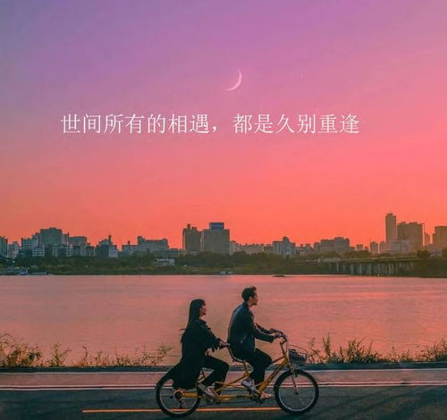 ins头像高级感不将就