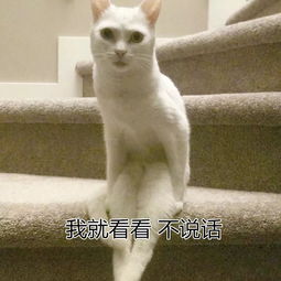 气象雨来了局地中雨个别地方已迎强降雨