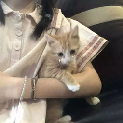微信头像女女生局部头像