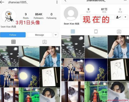 肖战ins头像怎么了