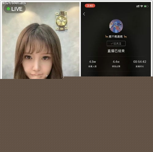初瑞雪徒弟鹿疑似脱离团队,雷少怒怼818穷,老狗表示快手最有钱的就是辛巴