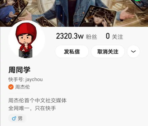 快手吸引人头像图片周杰伦