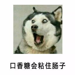 抖音小时候信了的那些谎话表情包