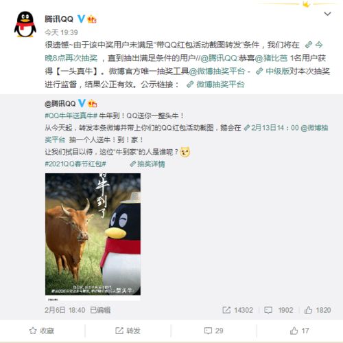 腾讯qq春节红包活动连抽四位幸运用户一整头牛就是送不出去