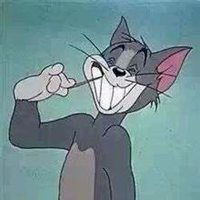 手举猫的情侣头像微信头像图片大全