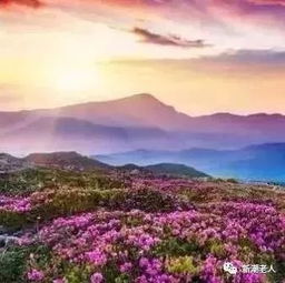 送你10句话,句句真金,让你看透晚年生活的真谛