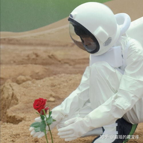 简约头像ins高级质感动漫头像