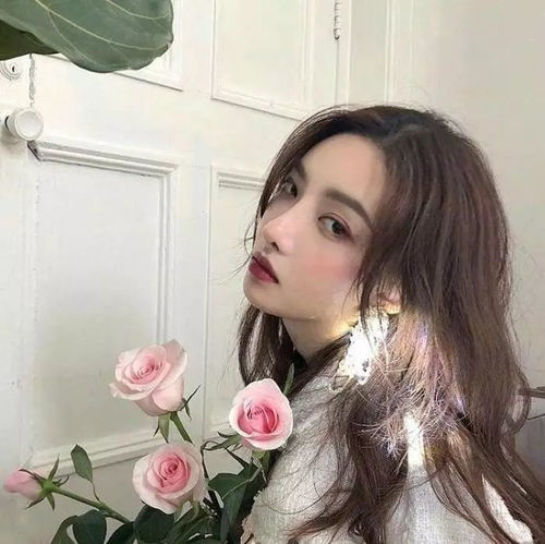 精选头像丨ins风格系列头像
