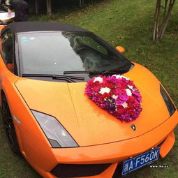 武汉京源租车婚庆租车商务租车豪华婚车