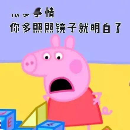 十大丑萌动物排名出炉没想到上榜的狗狗这么多哈哈哈