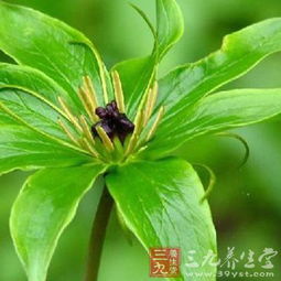 什么样的睡姿带来滚滚财运