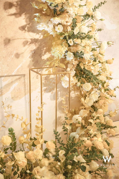 广州wwedding万梦婚礼往后余生