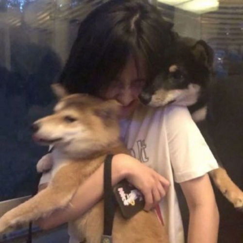 女生头像ins高级质感部位张子枫