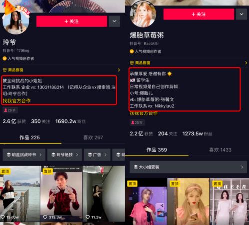 被独立女性困住的papi酱