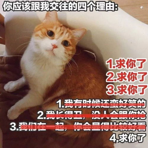 沙雕表情包l和我交往的四个理由