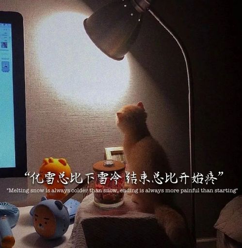 网易云音乐走心伤感文案,伤心的句子