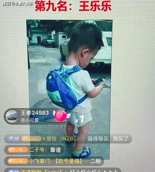 快手十大留守家族,狗磊仅排第八,第一名居然是他网友二子爷是个人才