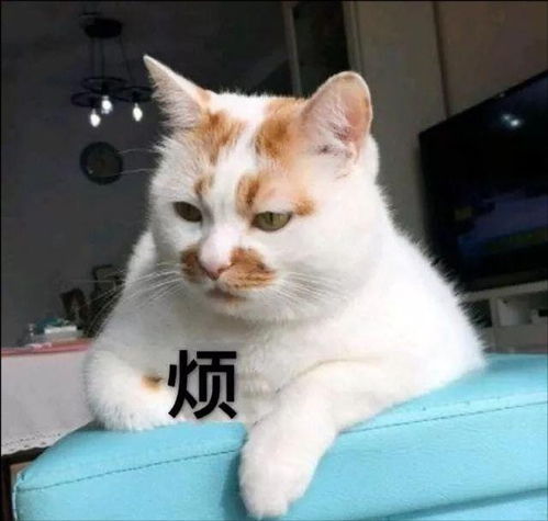 有了它,普通男生也能轻松逆袭,前女友都要回来找你复合
