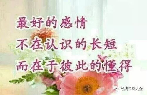 把感情看淡放下的句子,句句经典,放下了也就释然了