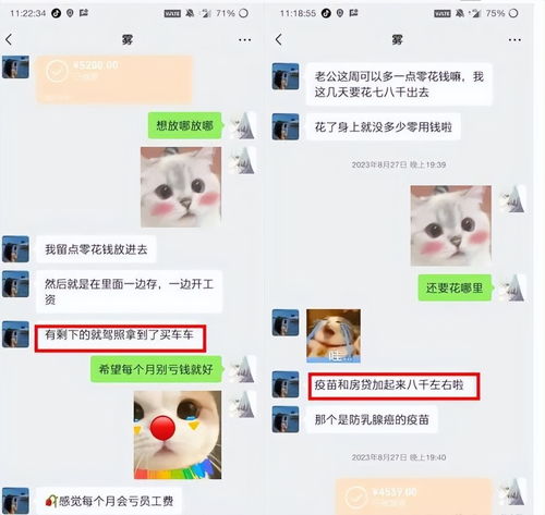 胖猫事件持续发酵,国服梦奇集体换头像,王者官方作出无声回应