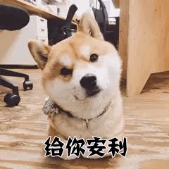 揭秘女生宿舍的那些事,你中招了吗