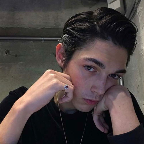 欧美头像男wildboys来自ins自截swing