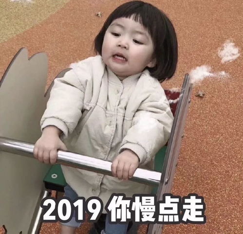 请回答2019一句话概括你在悉尼的这一年