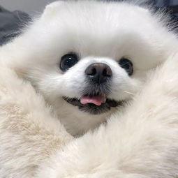 头像曾经如是