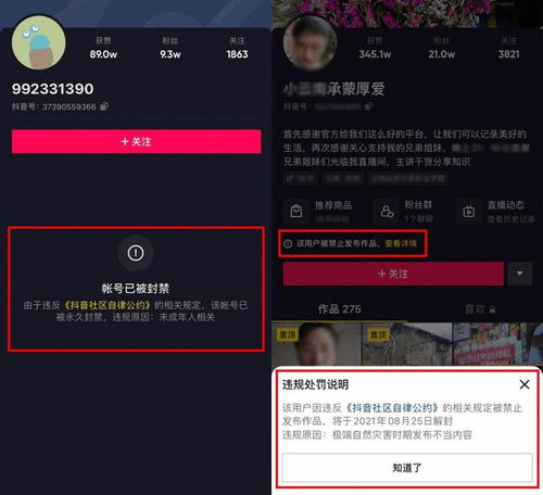 抖音又叒出新功能,违规账号处罚公示的作用在哪里