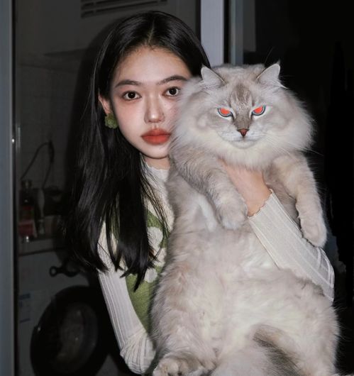 ins氛围感女头