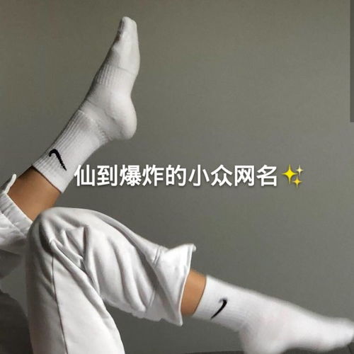 ins风小众干净网名