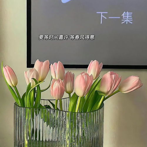 2023最新唯美花朵风景头像