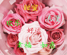 五一,给你的祝福