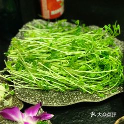 山下火锅的豌豆苗好不好吃用户评价口味怎么样大连美食豌豆苗实拍图片大众点评