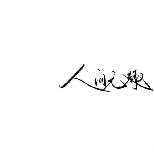 背景图看过花开的人便会懂得风的温柔