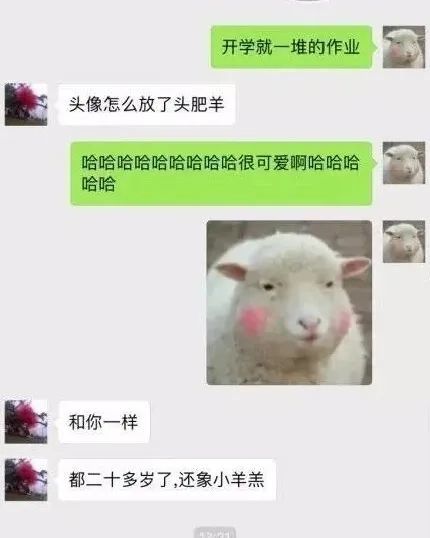 头像不好看,换了吧