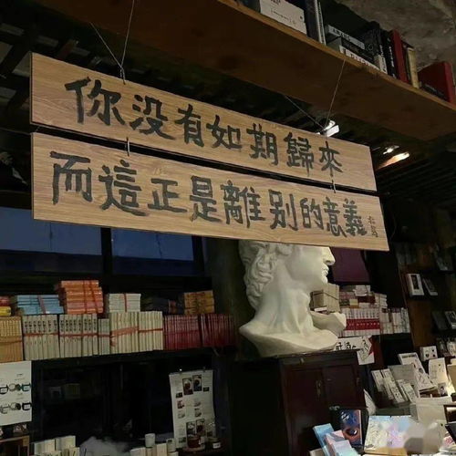 头像背景丨风雪一更共度余生