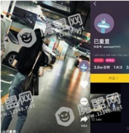 抖音已重置是温婉的小号吗已重置和温婉是什么关系