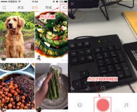快手加字幕辅助软件免费下载快手加字王官方版下载52pk软件下载